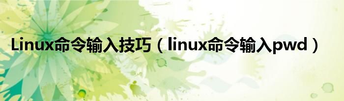 Linux命令输入技巧（linux命令输入pwd）